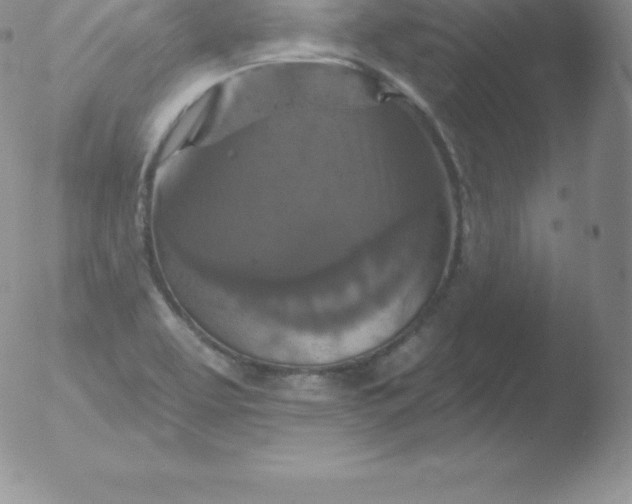 X0000051891463200507081926