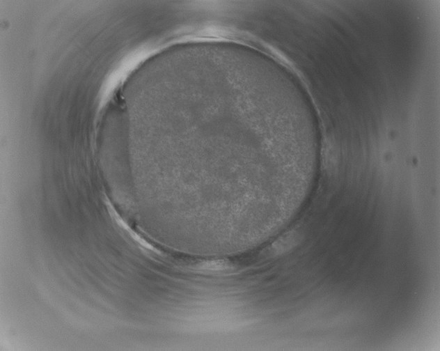 X0000051891464200507081926