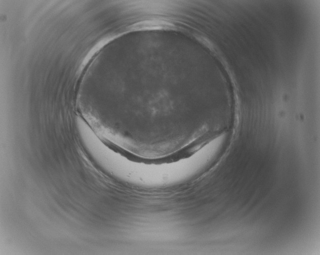 X0000051891465200507081926