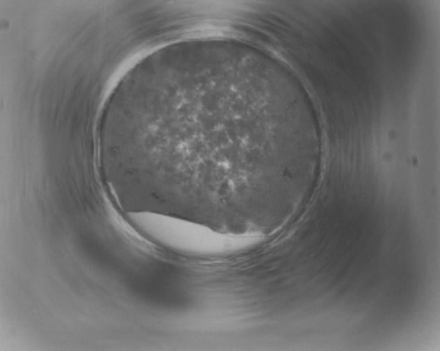 X0000051891467200507081926