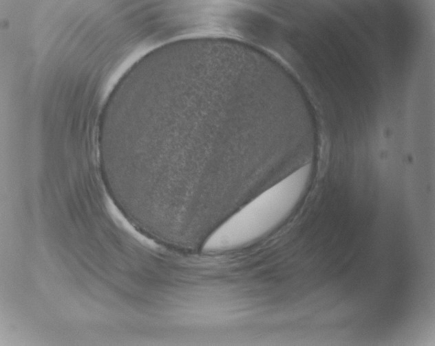 X0000051891468200507081926