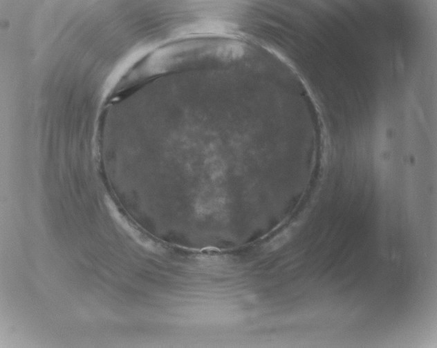 X0000051891469200507081926