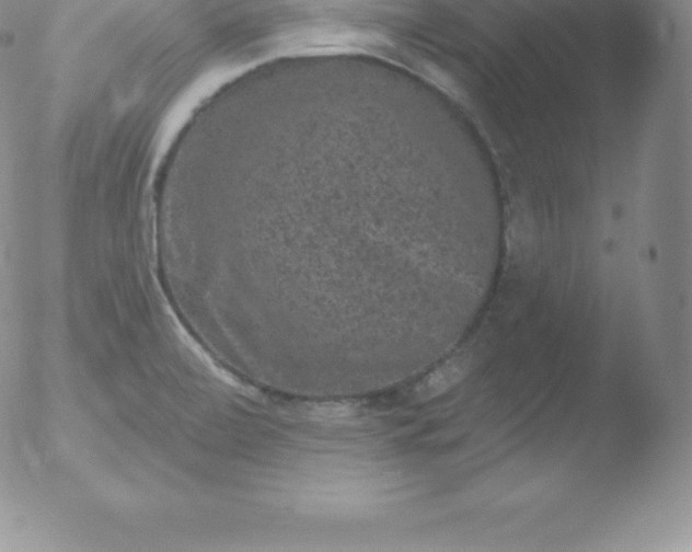 X0000051891472200507081926