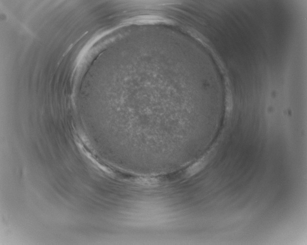 X0000051891473200507081926