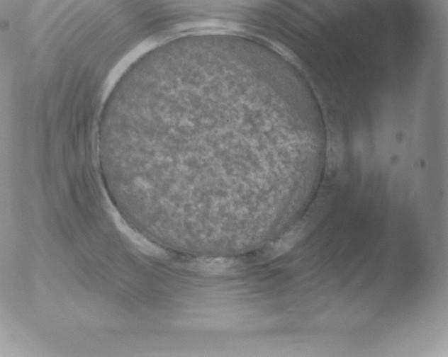 X0000051891474200507081926