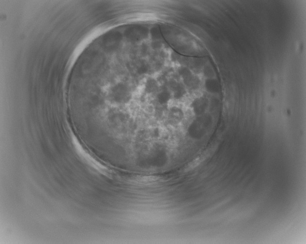 X0000051891475200507081926