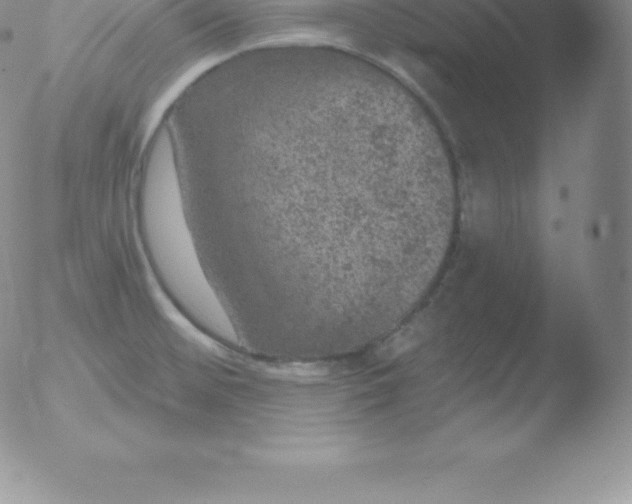 X0000051891476200507081926