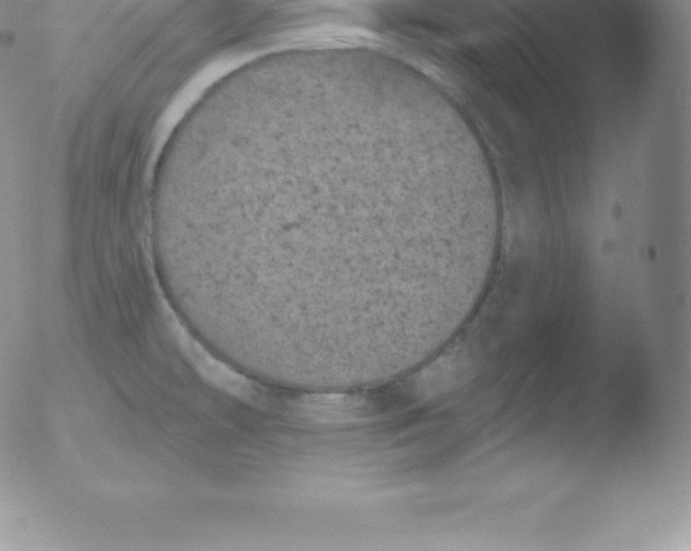 X0000051891478200507081926