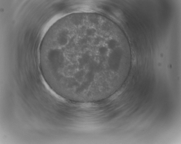 X0000051891479200507081926