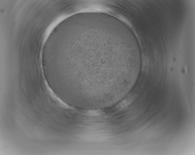 X0000051891480200507081926