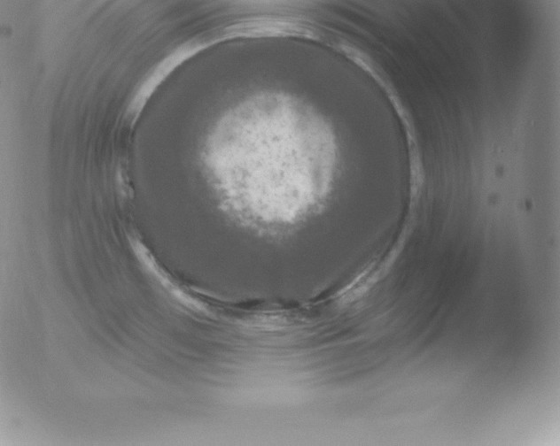 X0000051891481200507081926