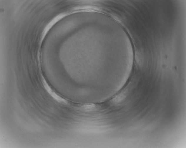 X0000051891482200507081926