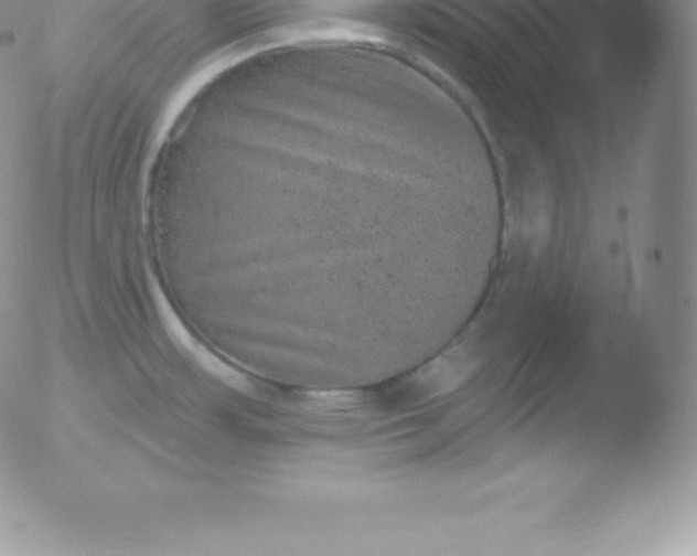 X0000051891483200507081926