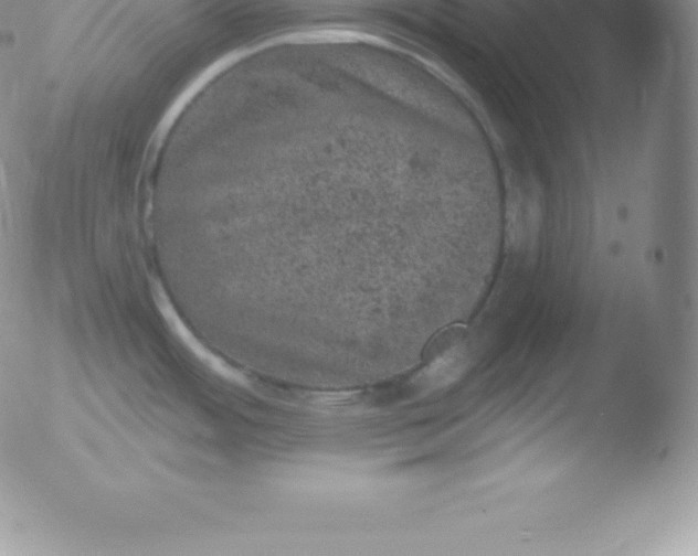 X0000051891484200507081926