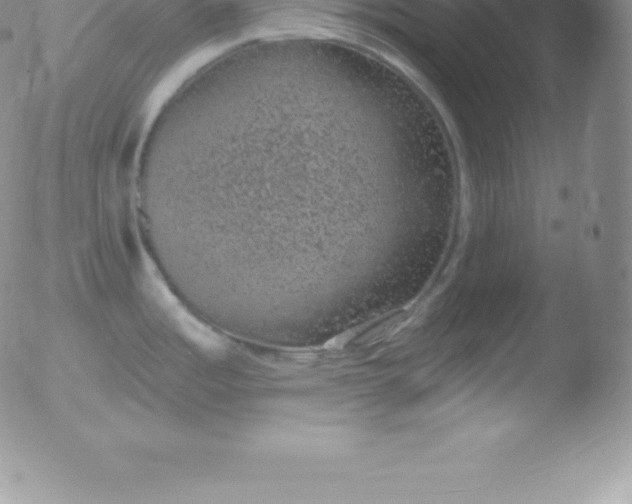 X0000051891485200507081926