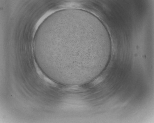 X0000051891486200507081926