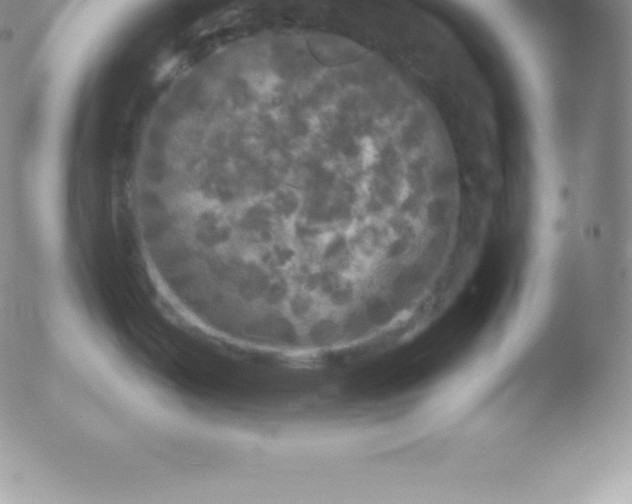 X0000051891487200507081926