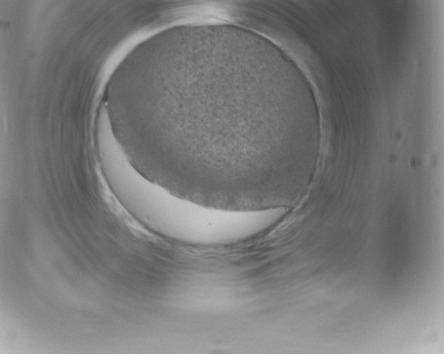 X0000051891488200507081926