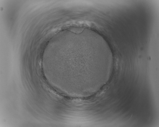 X0000051891489200507081925