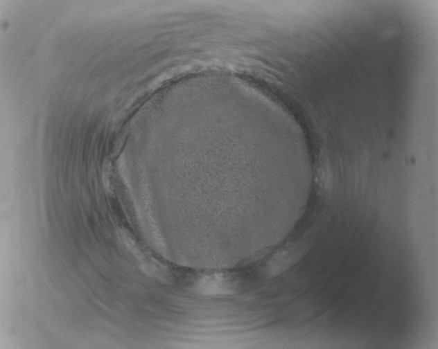 X0000051891490200507081925