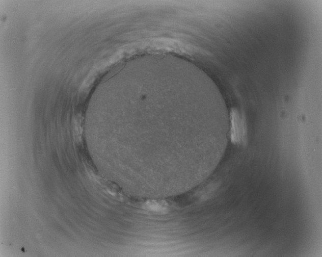 X0000051891491200507081925