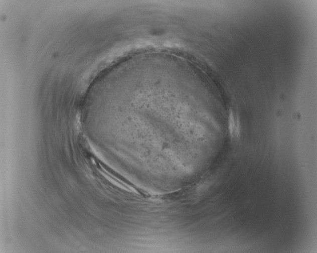 X0000051891492200507081925