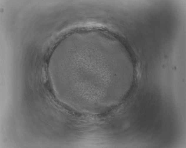 X0000051891493200507081925