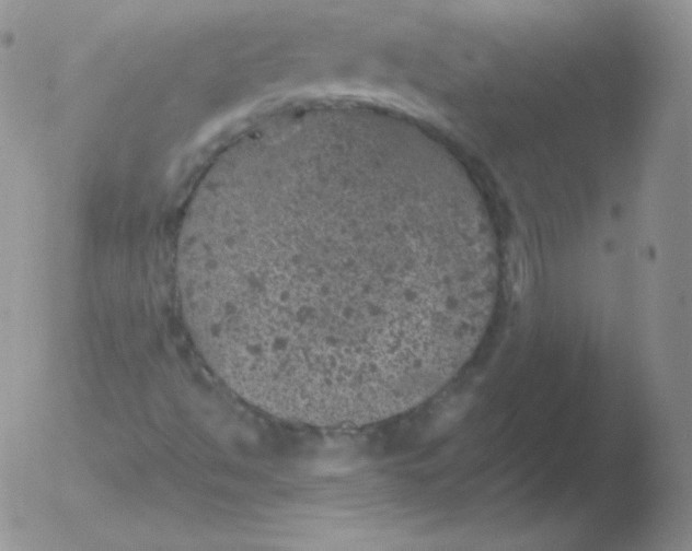 X0000051891494200507081925