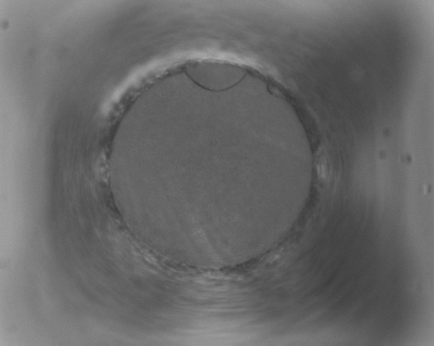 X0000051891495200507081925