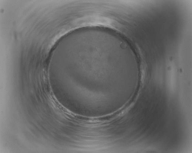 X0000051891497200507081925