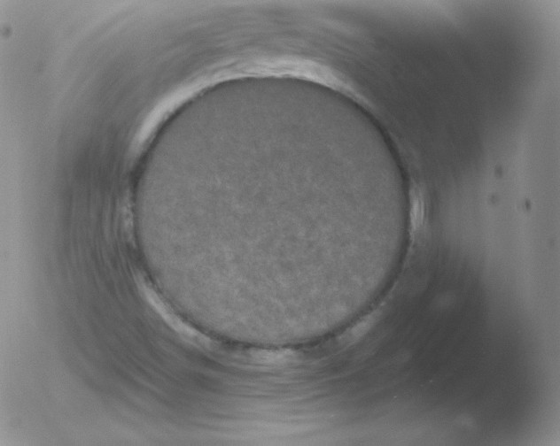 X0000051891498200507081925