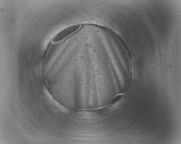 X0000051891500200507081925