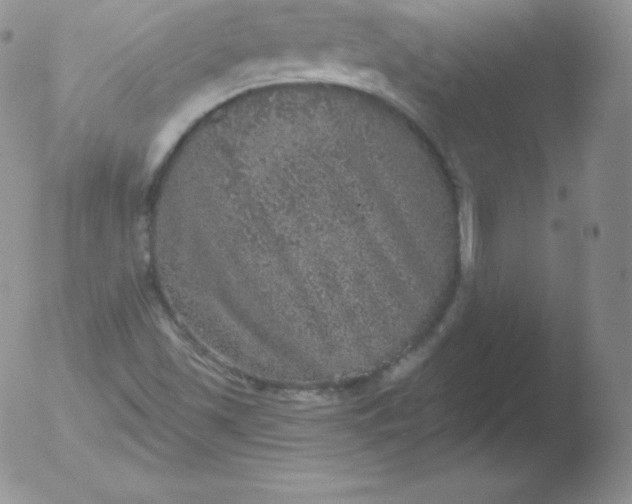 X0000051891501200507081925