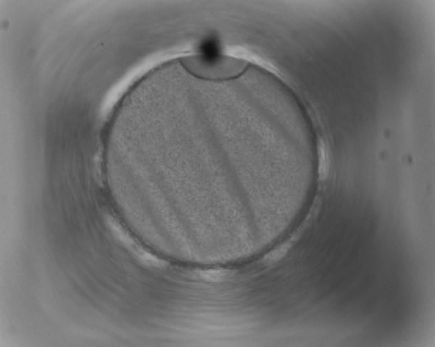 X0000051891502200507081925