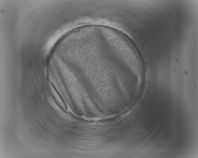 X0000051891503200507081925