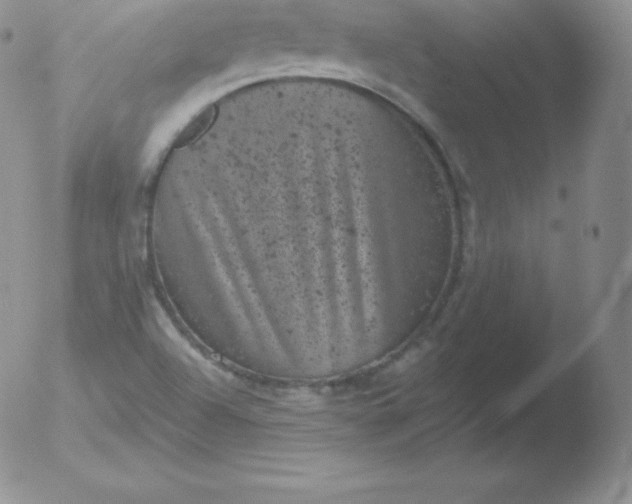 X0000051891504200507081925