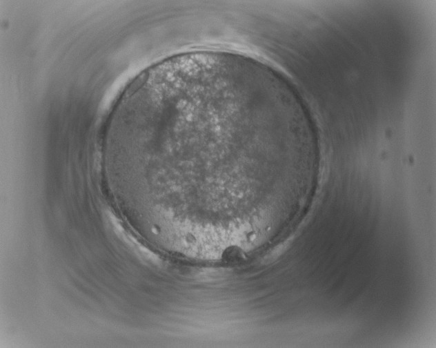 X0000051891506200507081925