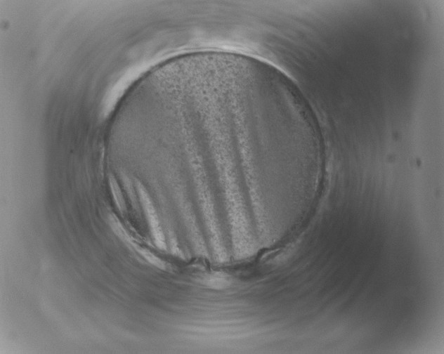 X0000051891507200507081925