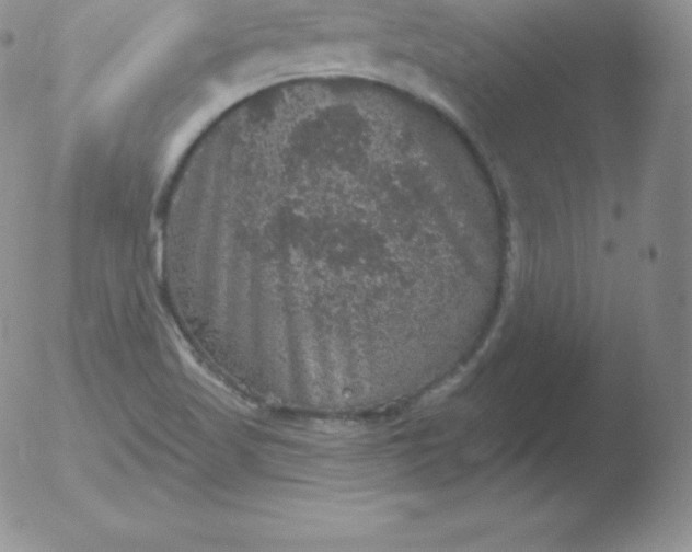 X0000051891509200507081925