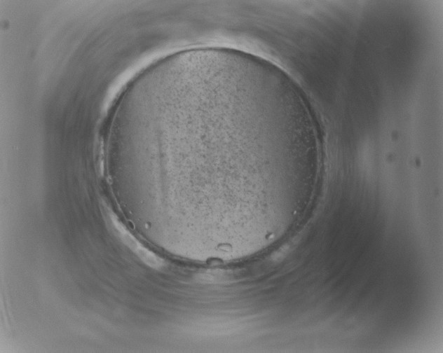 X0000051891510200507081925