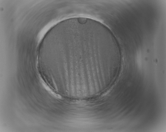 X0000051891511200507081925