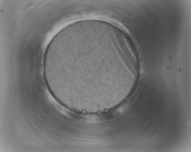 X0000051891512200507081925