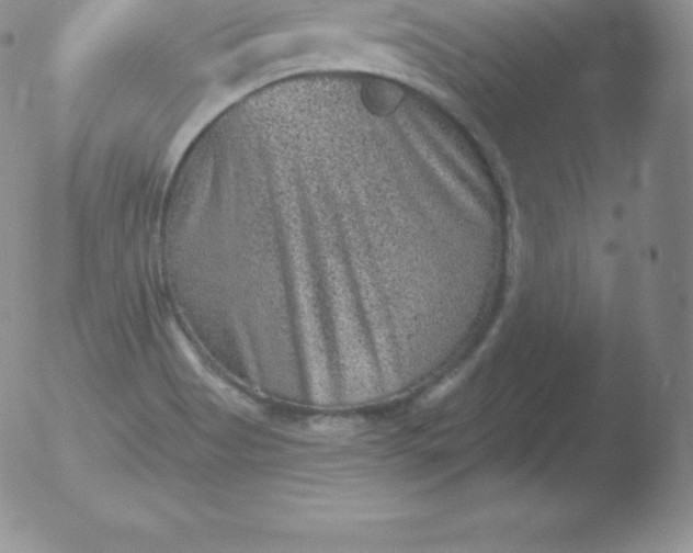 X0000051891513200507081925