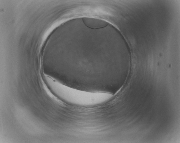 X0000051891515200507081926