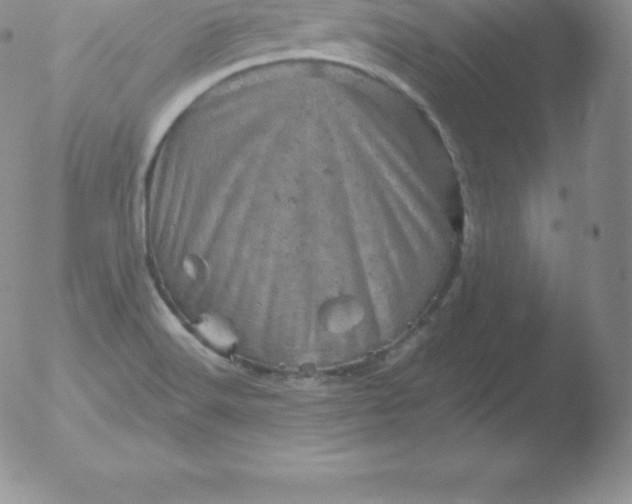 X0000051891516200507081926