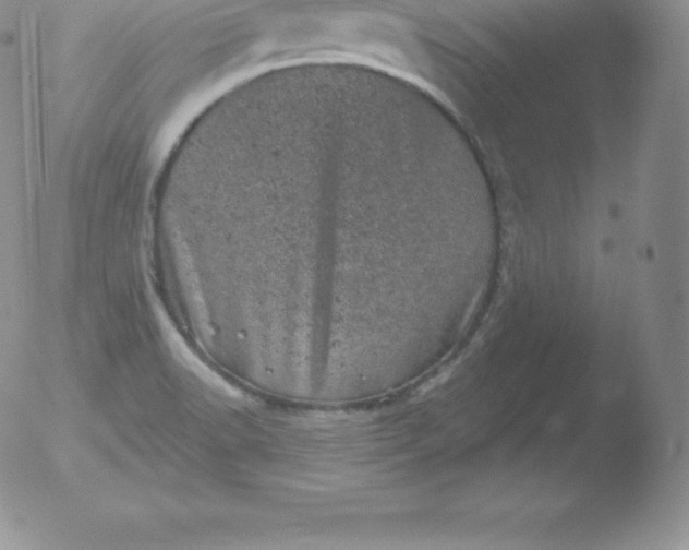 X0000051891518200507081926