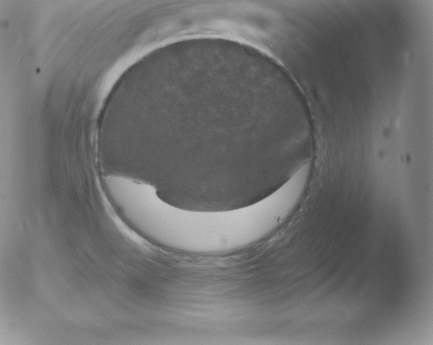 X0000051891519200507081926