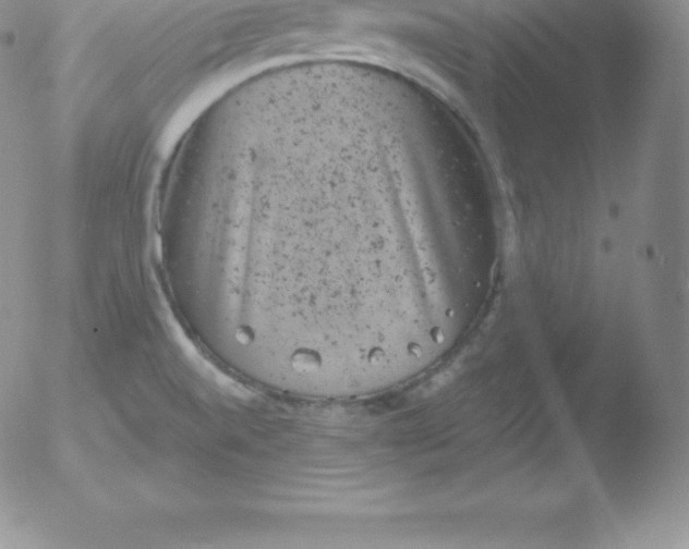 X0000051891520200507081926