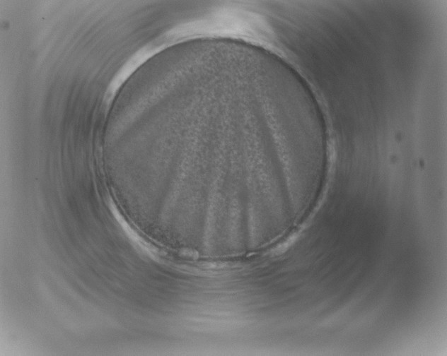 X0000051891521200507081926