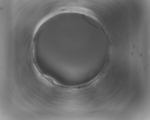 X0000051891522200507081926